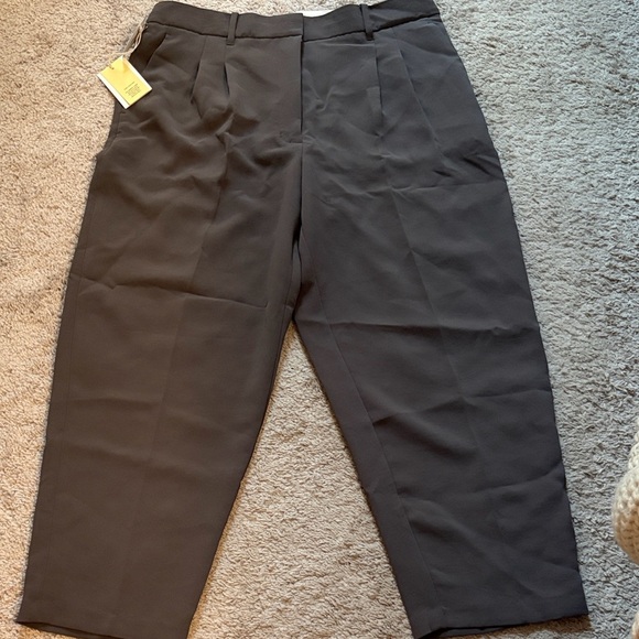 NWT Aritzia Carrot Pants size 16 - Picture 4 of 4